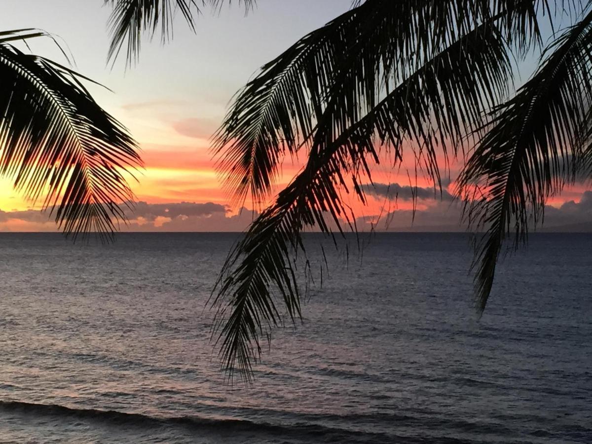 لاهينا Papakea Resort G406 المظهر الخارجي الصورة
